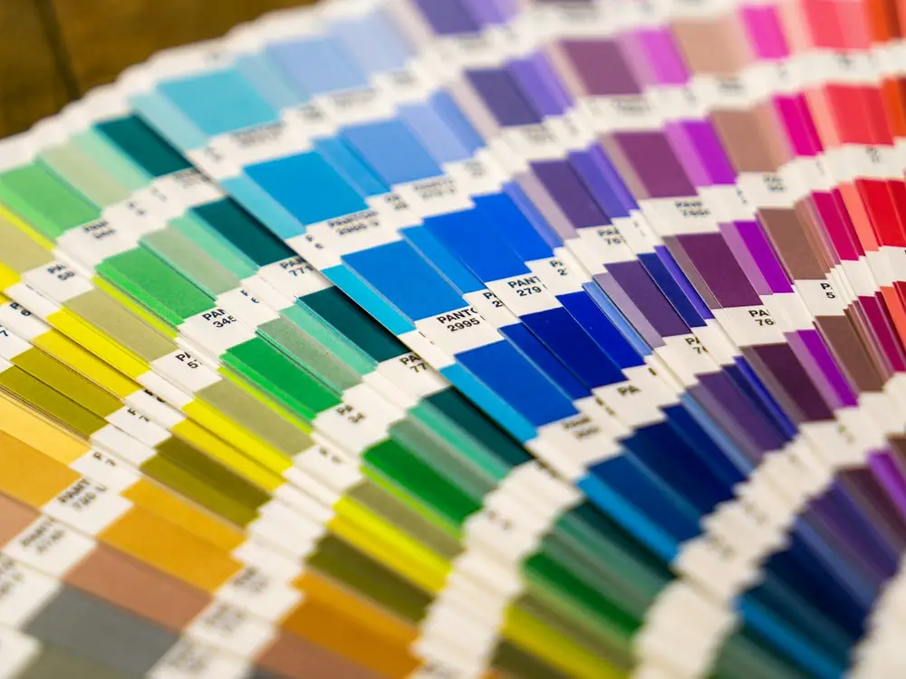 Paper stock and colour swatches